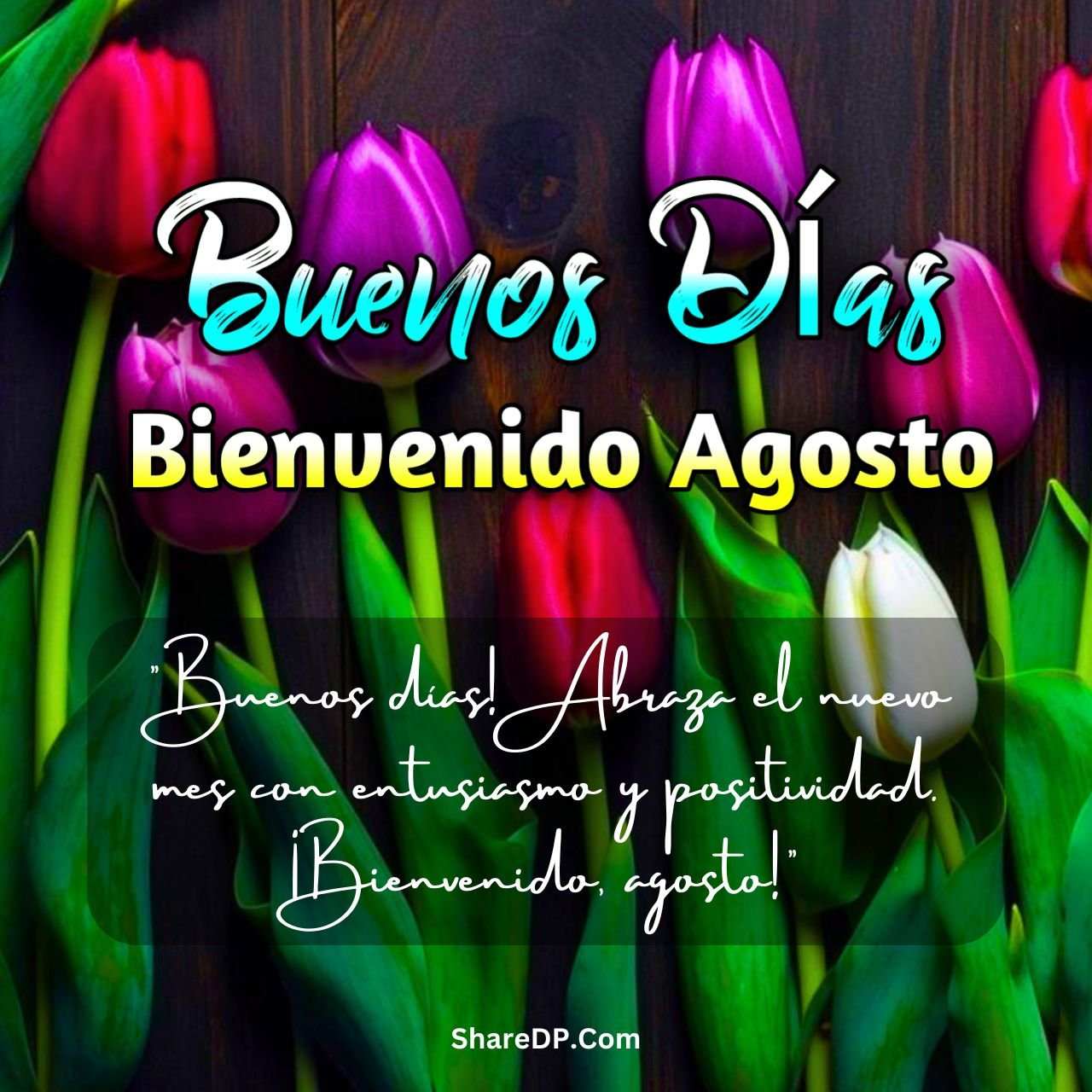 734 Imagenes com Frases Mensajes Buenos Dias Bienvenido Agosto