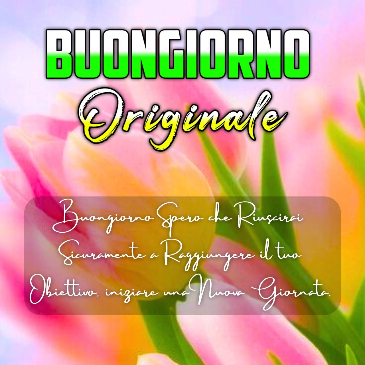 1000 Buongiorno Originale Immagini, GIF, Foto Nuove Gratis