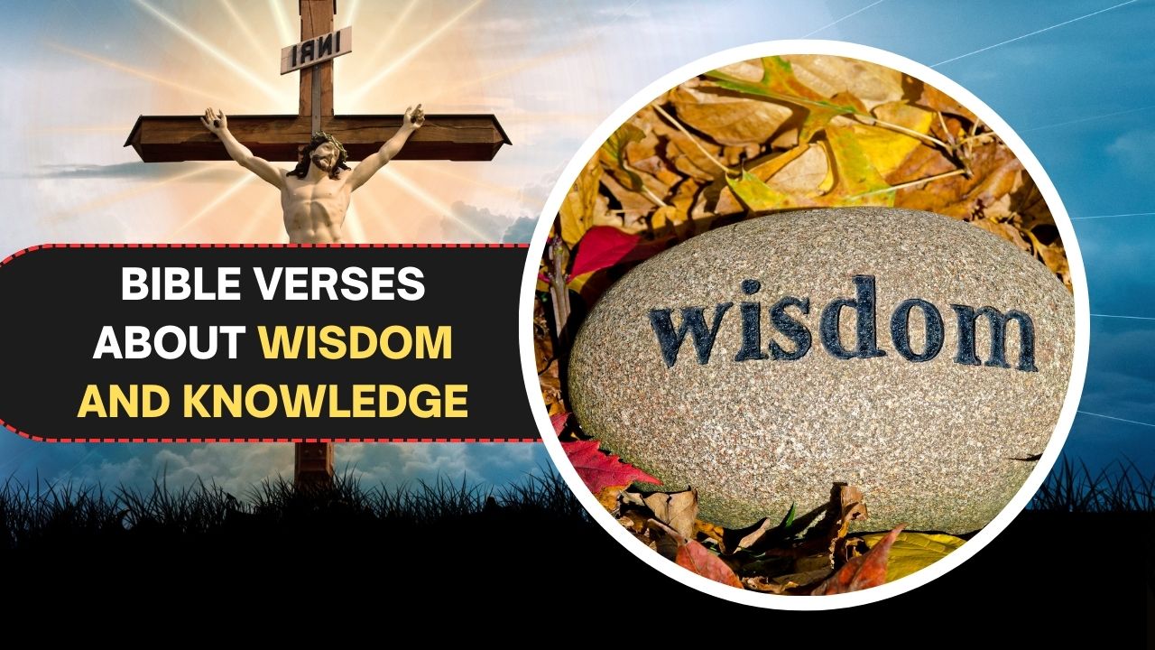 115 Bible Verses about Wisdom and Knowledge for Spiritual Growth