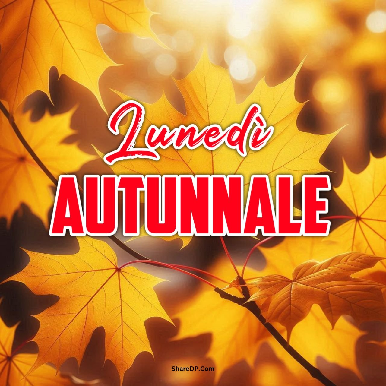 [1899+] Buon Lunedì Autunnale Immagini, GIF, Frasi Nuove Gratis 2024