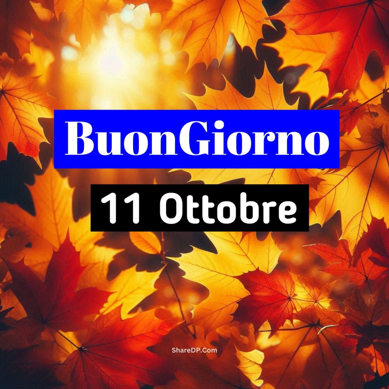 [299+] Buongiorno 11 Ottobre Immagini Nuove Gratis {Buon Venerdì 2024}