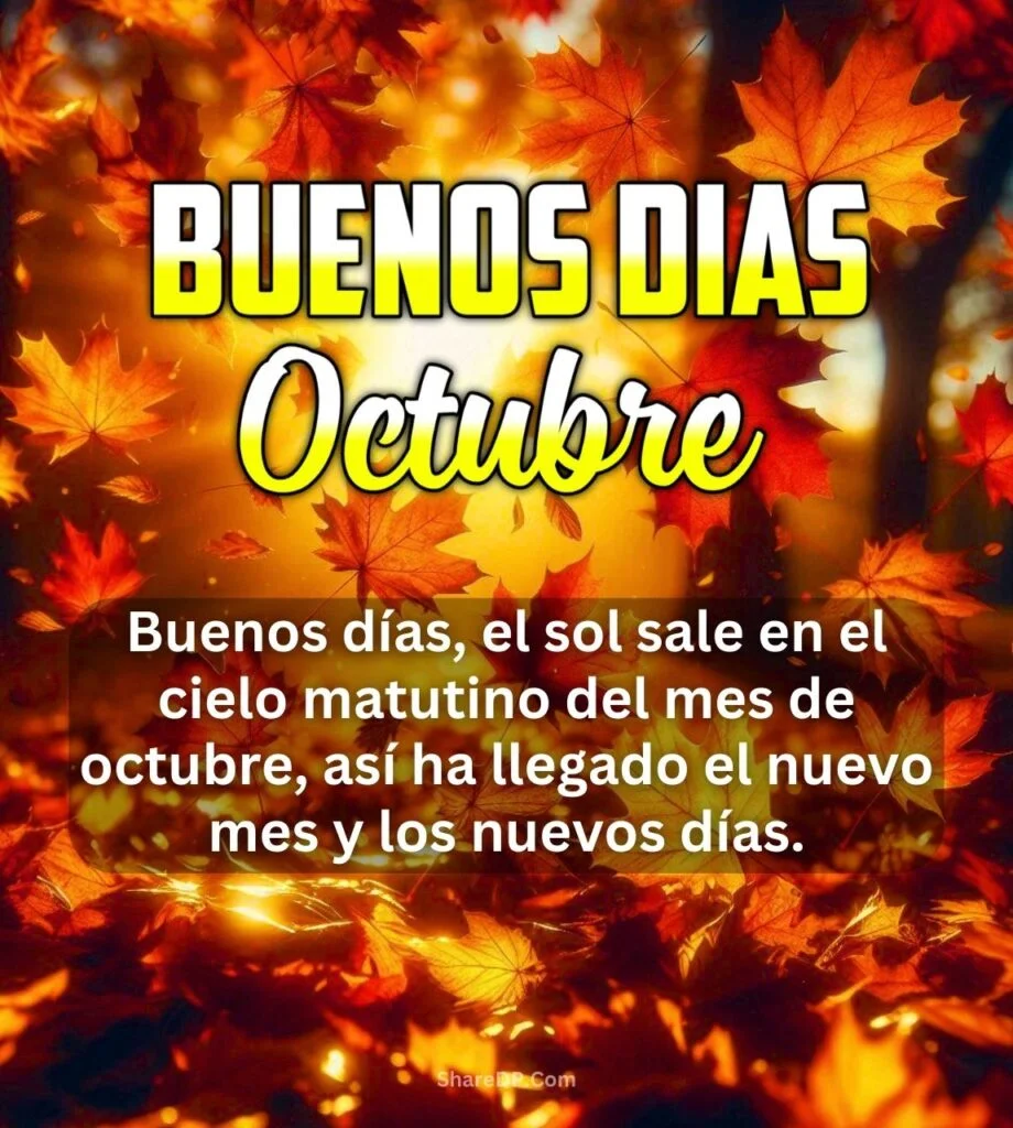 629 Buenos Dias Octubre Imagenes, GIF, Frases, Mensajes Gratis