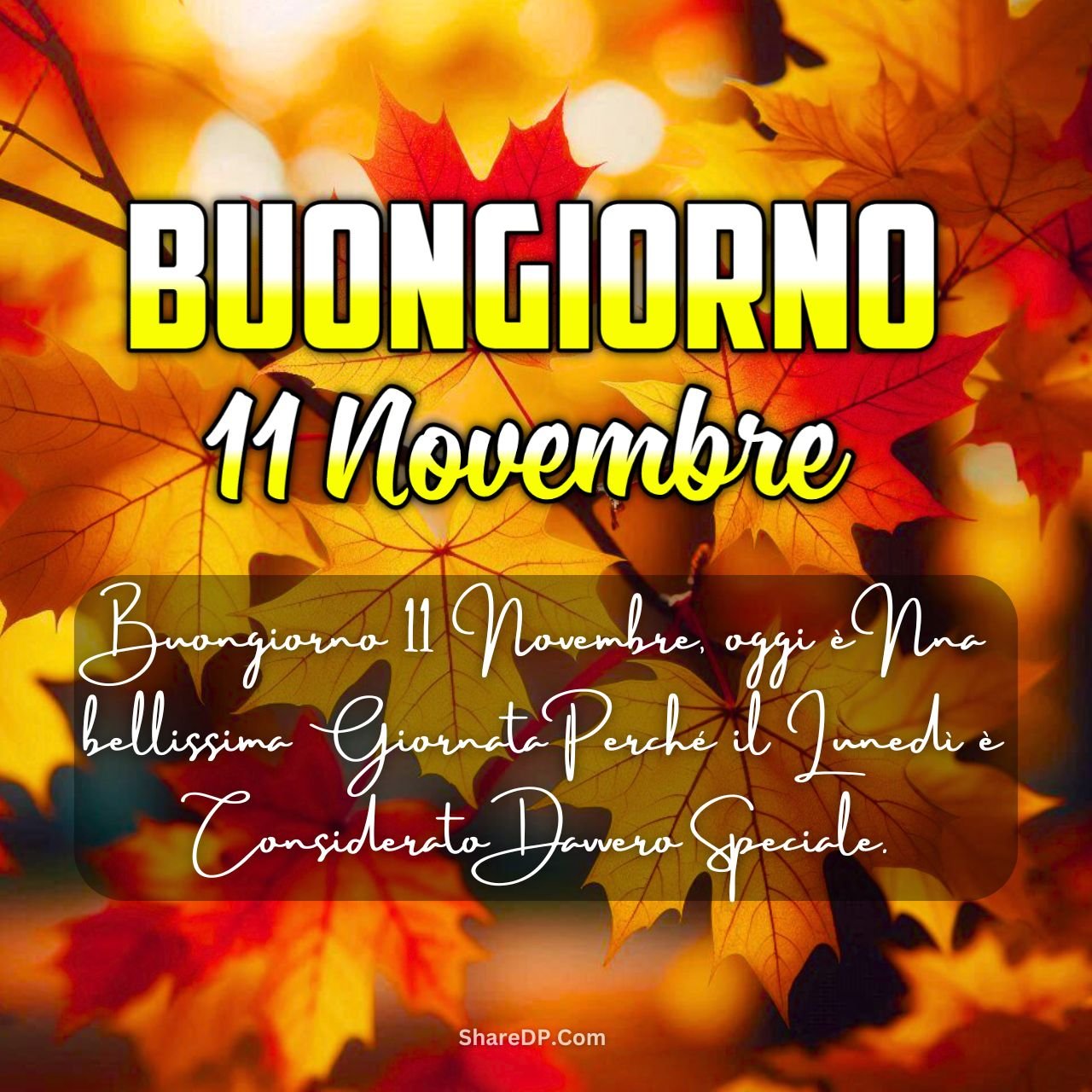 [199+] Buongiorno 11 Novembre Immagini, Frasi, GIF Nuove Gratis {Buon Lunedì 2024}